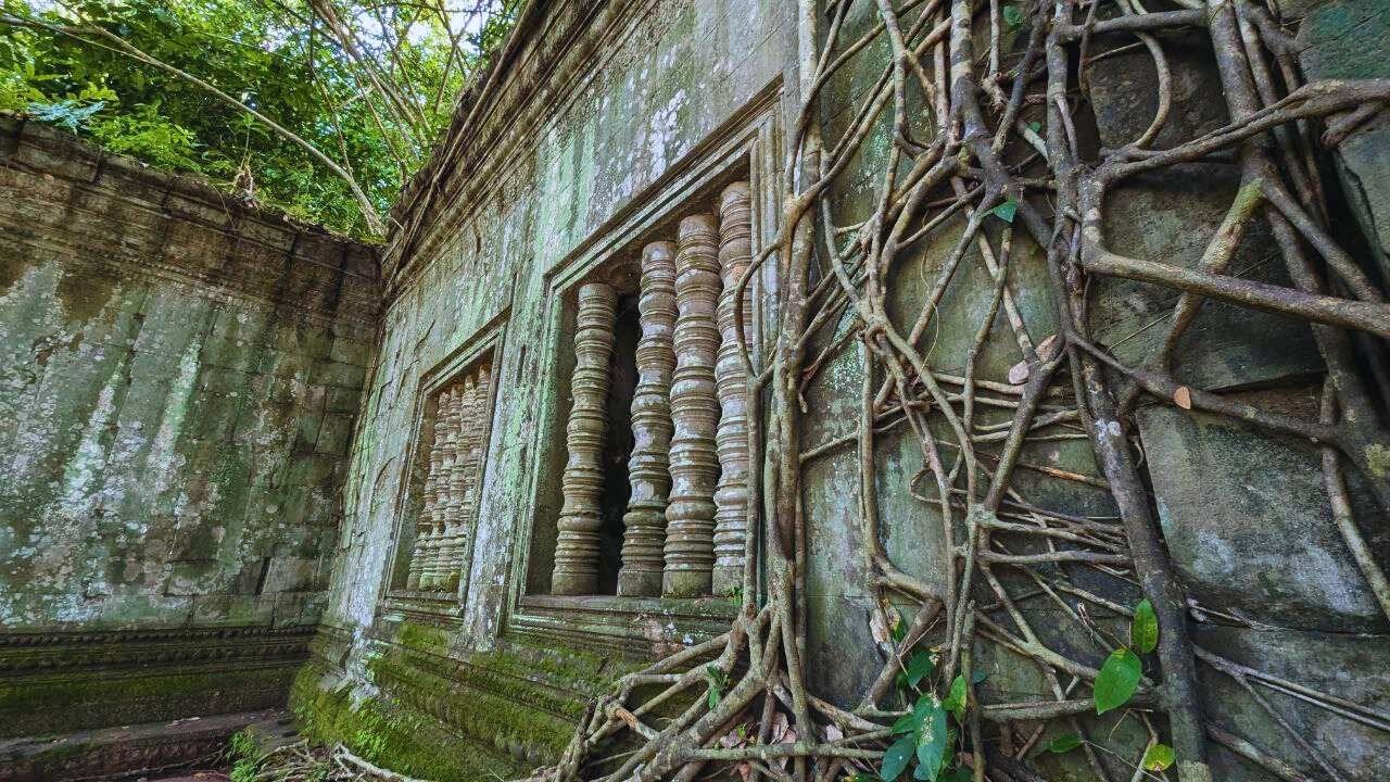 Private Beng Mealea Jungle Temple & Kompong Khleang Tour Led By Local Women Private Beng Mealea Jungle Temple & Kompong Khleang Tour Led By Local Women