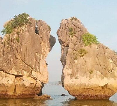 Vdl28: Ho Chi Minh - Cu Chi - Mekong Delta - Hoi An - Ha Long - Ninh Binh - Sapa - Hanoi City Tour 15D14N