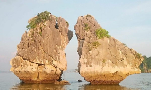 Vdl28: Ho Chi Minh - Cu Chi - Mekong Delta - Hoi An - Ha Long - Ninh Binh - Sapa - Hanoi City Tour 15D14N Vdl28: Ho Chi Minh - Cu Chi - Mekong Delta - Hoi An - Ha Long - Ninh Binh - Sapa - Hanoi City Tour 15D14N