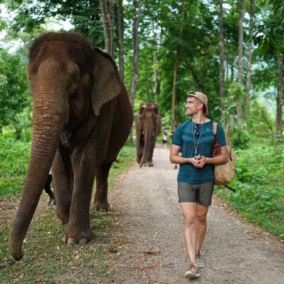 Llp3: Luang Prabang - Communicate With Elephants
