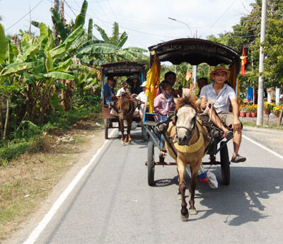 Vmk4: My Tho & Thoi Son Tour By Horse Carriage
