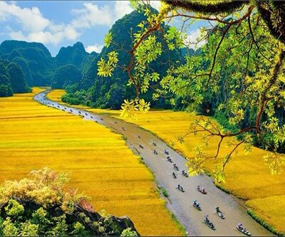 Vdl12: Hanoi City - Ha Long - Ninh Binh - Sapa - Hoi An - Ho Chi Minh Tour 12D11N