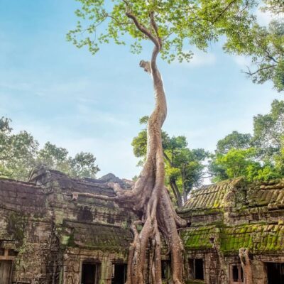 Cpn7: Phnom Penh Classic Tour 3D2N