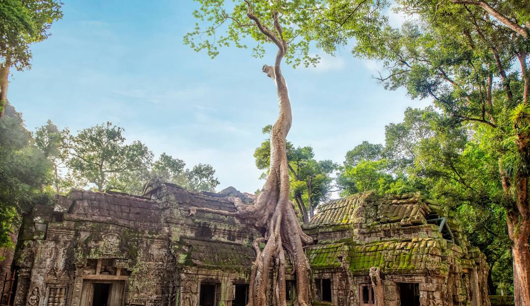 Cpn7: Phnom Penh Classic Tour 3D2N Cpn7: Phnom Penh Classic Tour 3D2N
