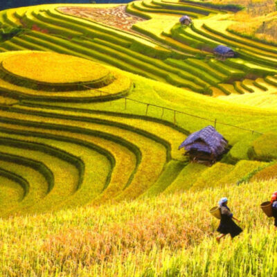 Vdl8: Hanoi City - Ha Long - Sapa Tour 8D7N