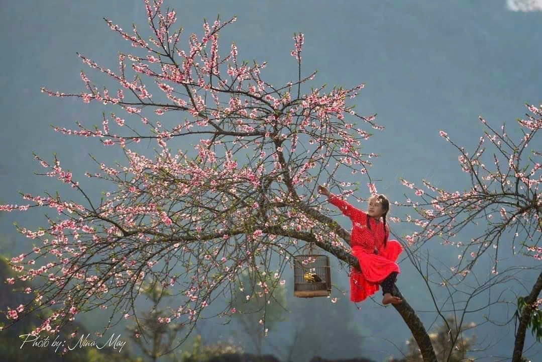 Vbg7: Hanoi - Ha Long - Ninh Binh - Sapa Budget Tour 6D5N Vbg7: Hanoi - Ha Long - Ninh Binh - Sapa Budget Tour 6D5N