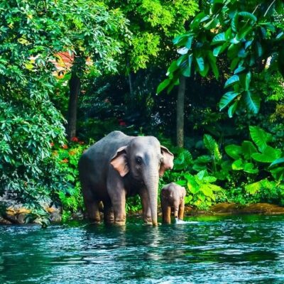 Tbk5: Thailand Unusual 8D7N