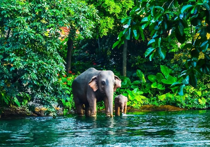 Tbk5: Thailand Unusual 8D7N Tbk5: Thailand Unusual 8D7N