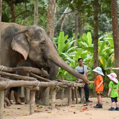 Tcm2: Chiang Mai Tour 5D4N