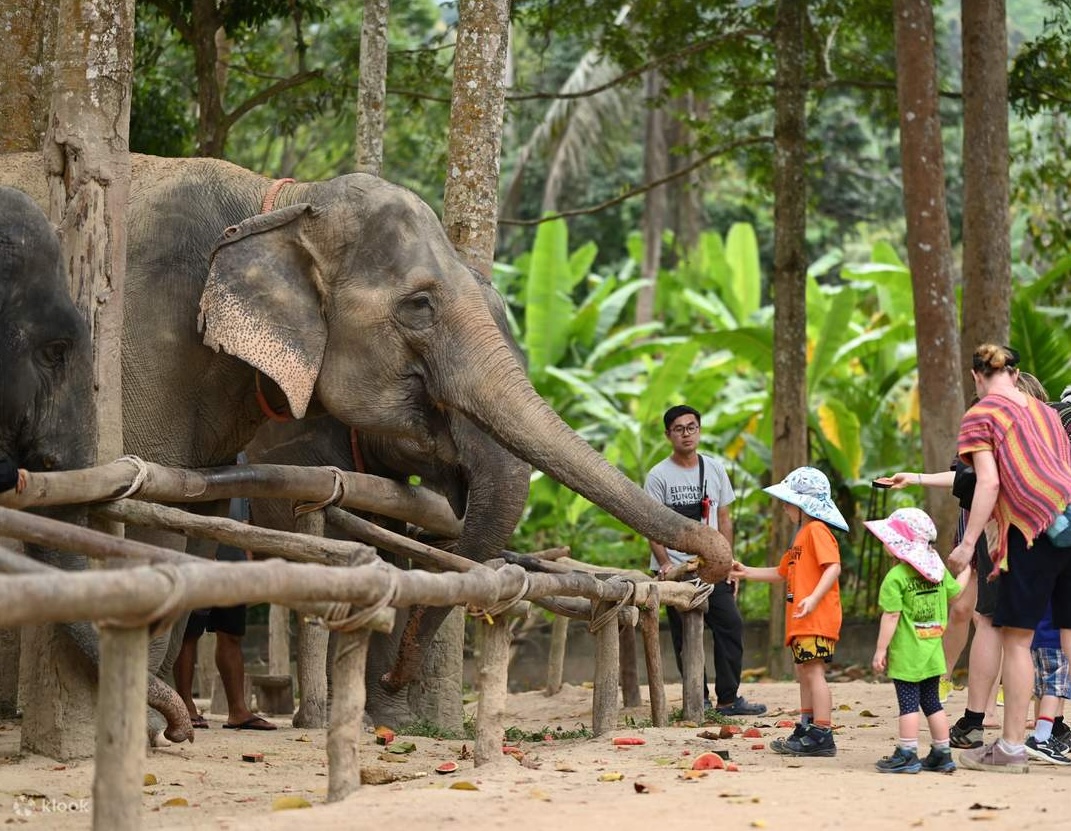 Tcm2: Chiang Mai Tour 5D4N Tcm2: Chiang Mai Tour 5D4N