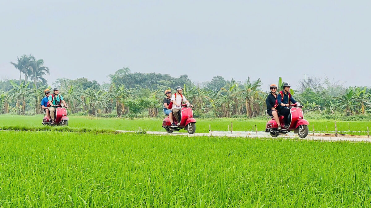 Hoi An Countryside Vespa Tour Private Tour Led By Women Hoi An Countryside Vespa Tour Private Tour Led By Women