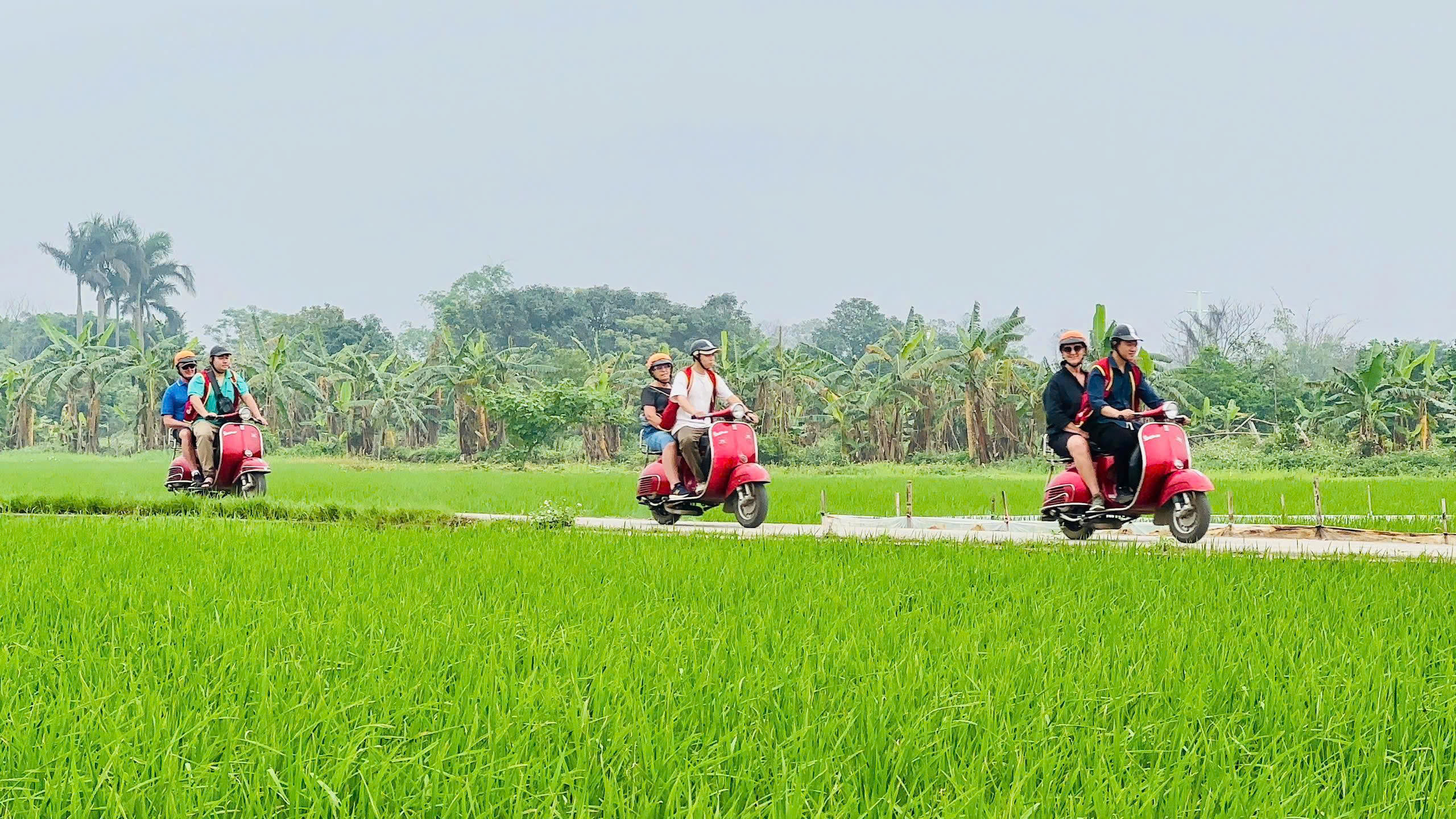 Hoi An Countryside Vespa Tour Private Tour Led By Women Hoi An Countryside Vespa Tour Private Tour Led By Women