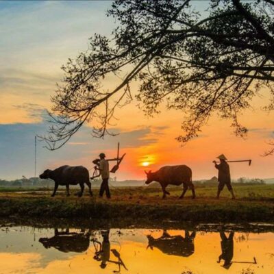 6-Day Northern Vietnam Private Tour Led By Women
