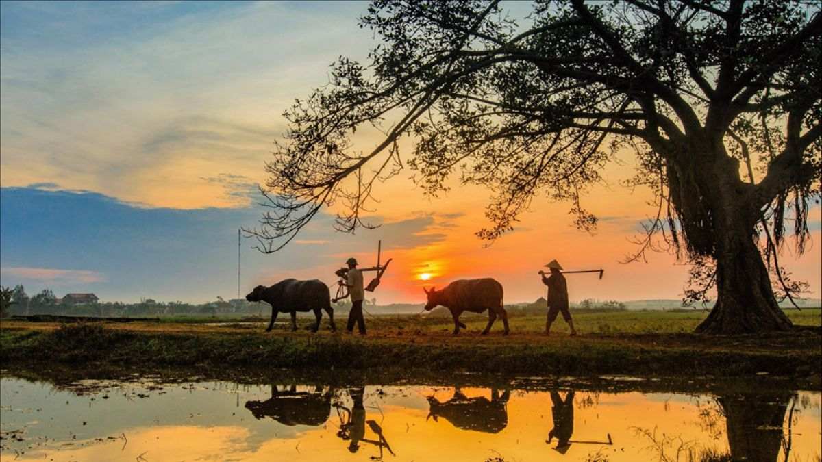 6-Day Northern Vietnam Private Tour Led By Women 6-Day Northern Vietnam Private Tour Led By Women