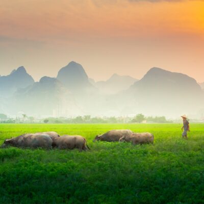 11-Day Vietnam Heritage & Nature Journey  Private Tour Led By Women