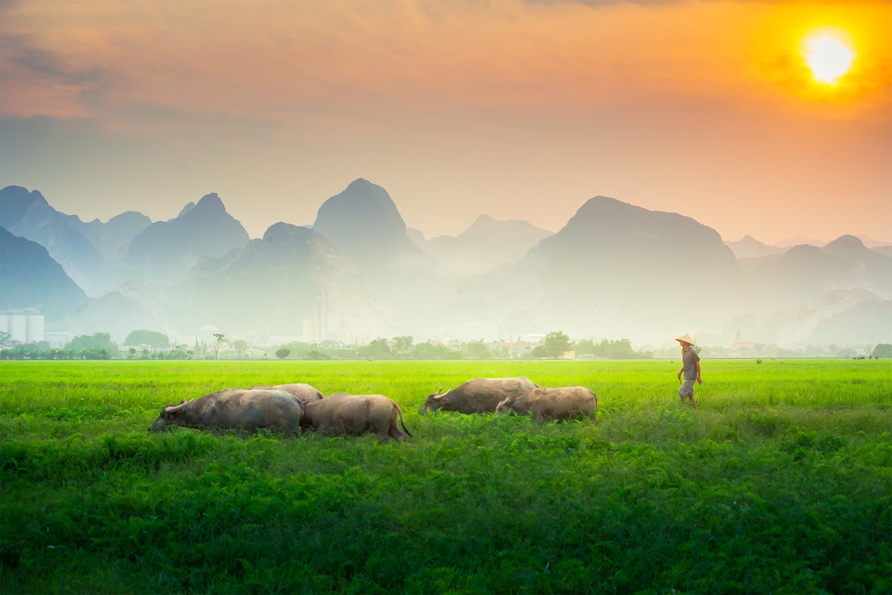 11-Day Vietnam Heritage & Nature Journey Private Tour Led By Women 11-Day Vietnam Heritage & Nature Journey Private Tour Led By Women