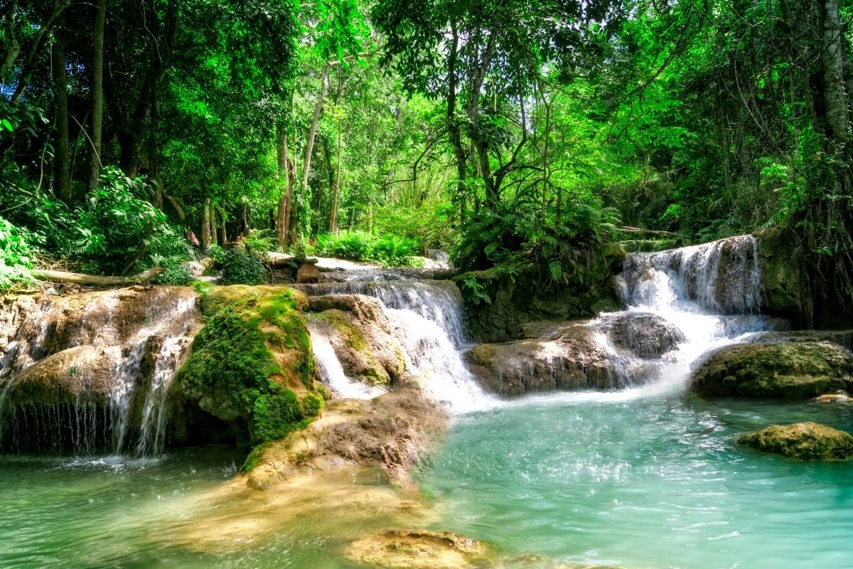 6-Day Private Northern Laos Tour Led by Women 6-Day Private Northern Laos Tour Led by Women