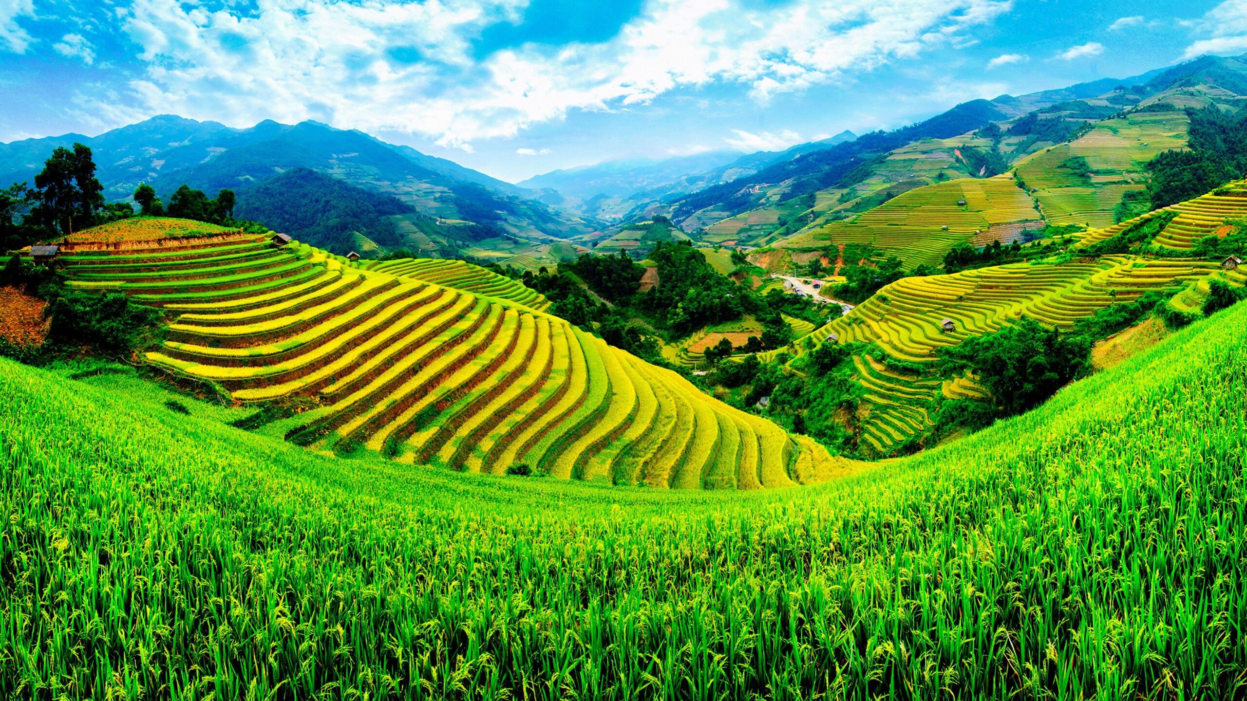 7-Day Private Luxury Vietnam Tour Led By Women 7-Day Private Luxury Vietnam Tour Led By Women