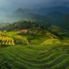 Private Sapa Trekking Tour Led By Women | Muong Hoa Valley, Ethnic Villages & Rice Terraces