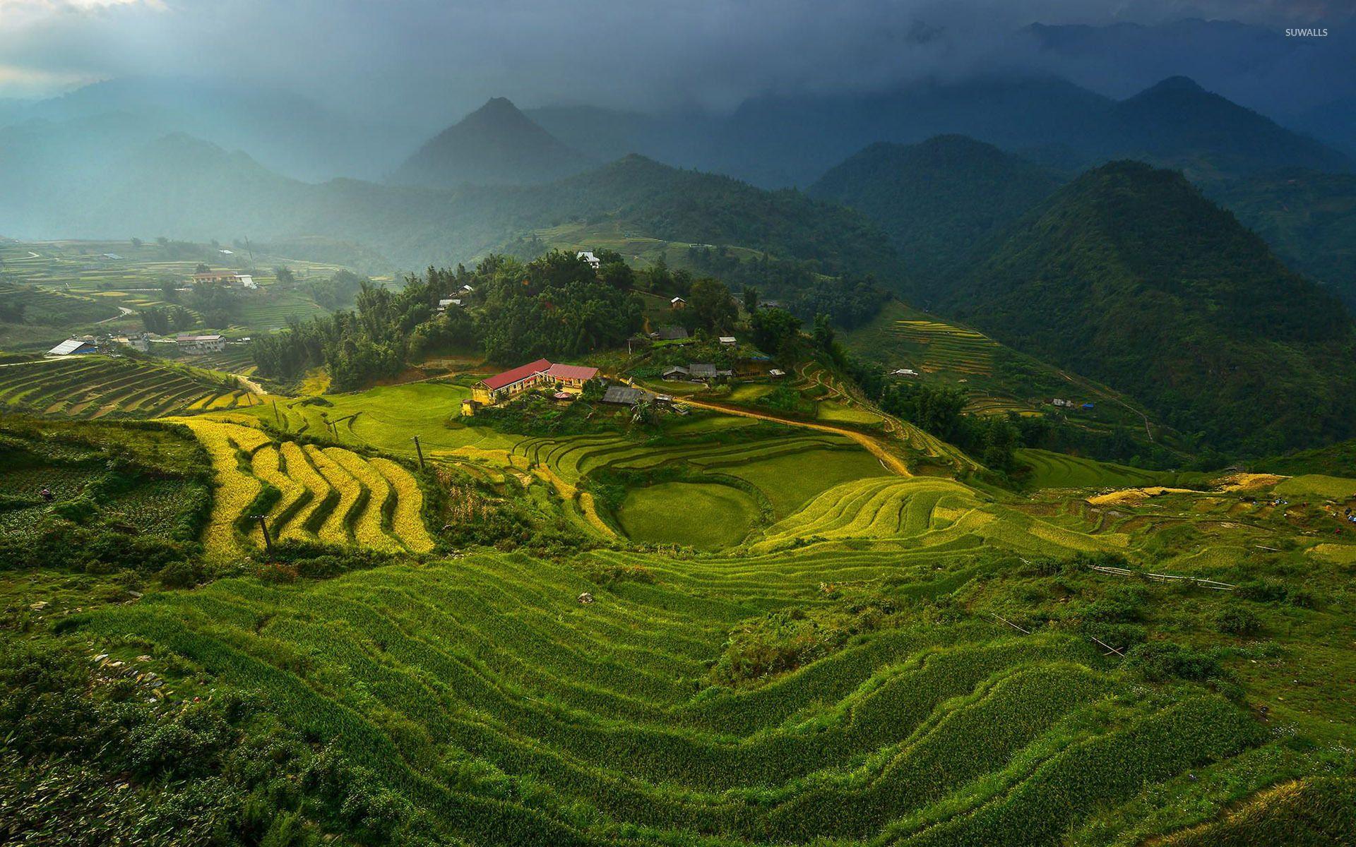 Private Sapa Trekking Tour Led By Women | Muong Hoa Valley, Ethnic Villages & Rice Terraces Private Sapa Trekking Tour Led By Women | Muong Hoa Valley, Ethnic Villages & Rice Terraces