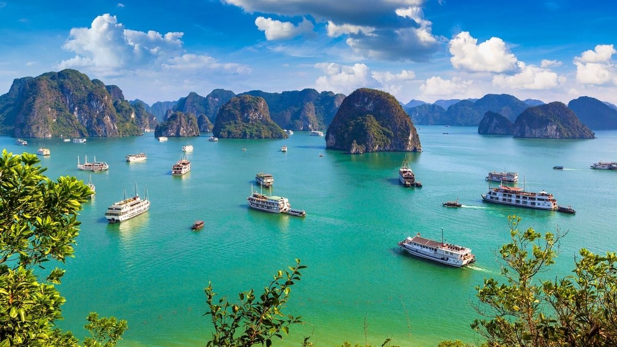 7-Day Southern & Northern Vietnam Private Tour Led By Women 7-Day Southern & Northern Vietnam Private Tour Led By Women
