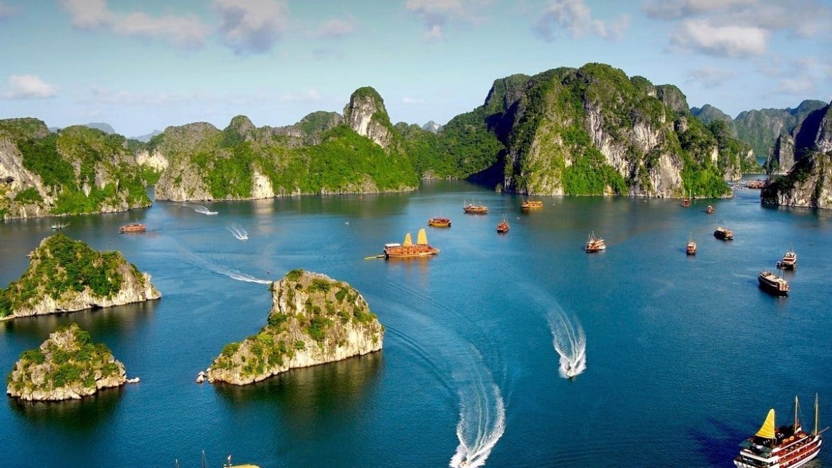 9-Day Vietnam Highlights Private Tour Led By Women | Hanoi Ha Long Bay Ninh Binh Sapa 9-Day Vietnam Highlights Private Tour Led By Women | Hanoi Ha Long Bay Ninh Binh Sapa