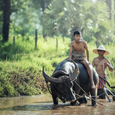 11-Day Vietnam Discovery Private Tour Led By Women