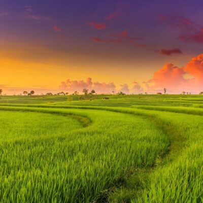 6-Day Northern Vietnam Adventure Private Tour Led By Women