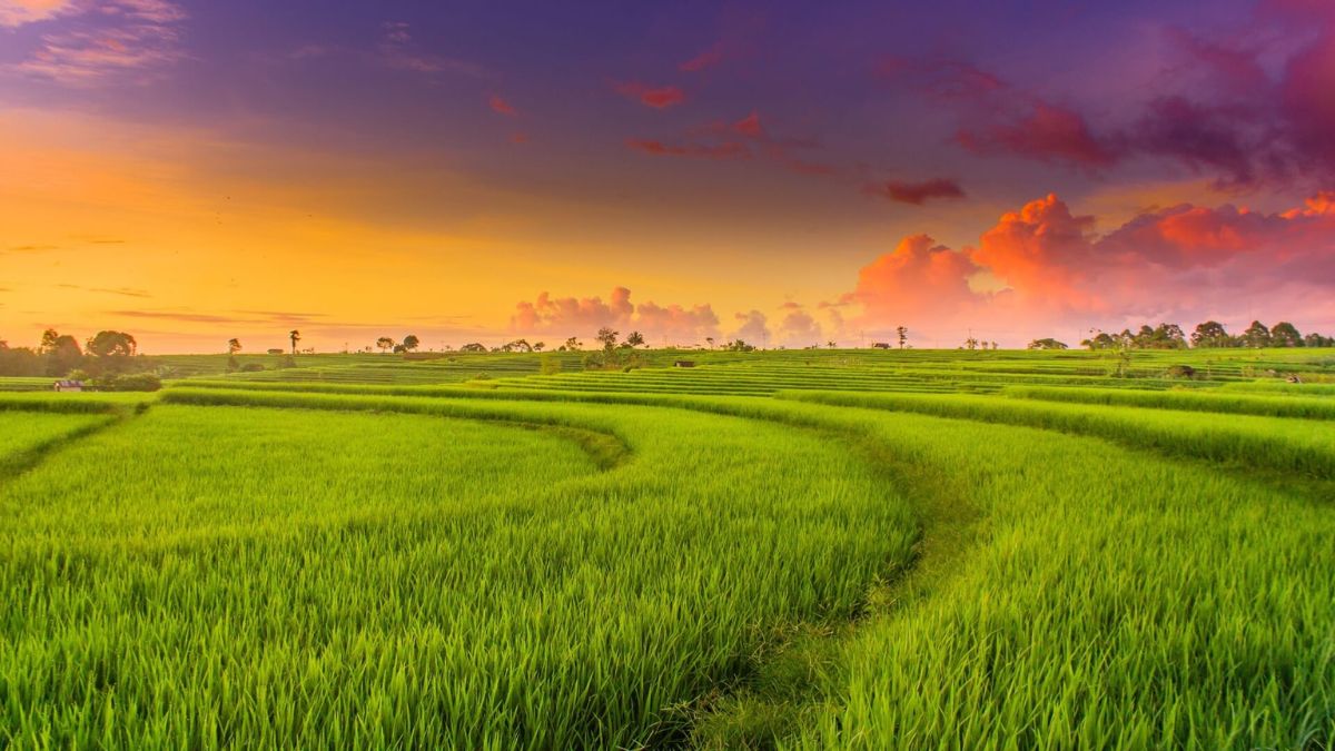 6-Day Northern Vietnam Adventure Private Tour Led By Women 6-Day Northern Vietnam Adventure Private Tour Led By Women