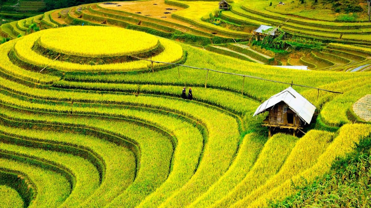 10-Day Vietnam Essential Journey Private Tour Led By Women 10-Day Vietnam Essential Journey Private Tour Led By Women
