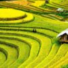 8-Day Northern Vietnam Private Tour Led By Women