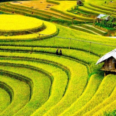13-Day Vietnam Grand Discovery Private Tour Led By Women