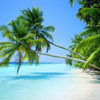 8-Day Private Luxury Vietnam Tour Led By Women | Hanoi Ha Long Bay Hoi An