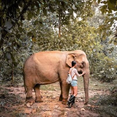 Private MandaLao Elephant Sanctuary Tour in Luang Prabang Led by Women