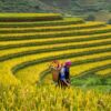Ha Giang – Cao Bang Private Tour | 5 Days - Private Tours Led by Women