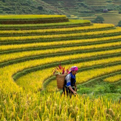 Ha Giang – Cao Bang Private Tour | 5 Days - Private Tours Led by Women