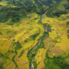 Ha Giang Luxury Car Tour | 4 Days Private Tours Led by Women